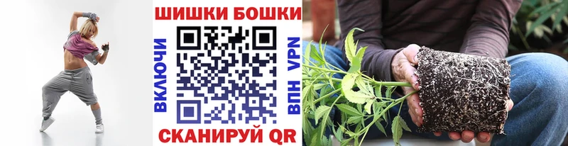 Бошки Шишки планчик  Купить  Александровск 